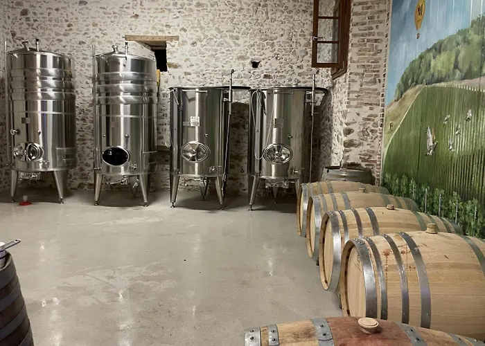 Holiday home La Remise De Tatanne Villenauxe